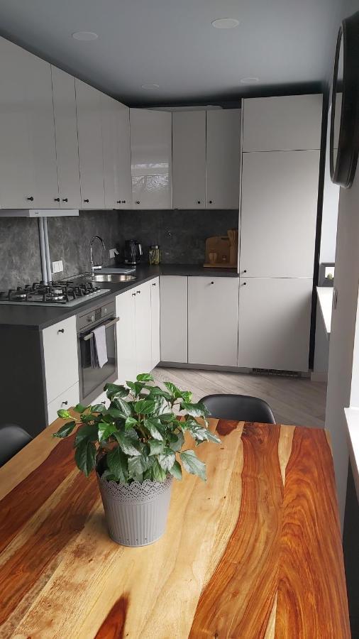 Siauliai Apartments - Vytauto Zewnętrze zdjęcie